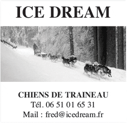 ICE DREAM